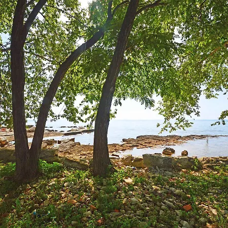 Aron By Interhome * Umag