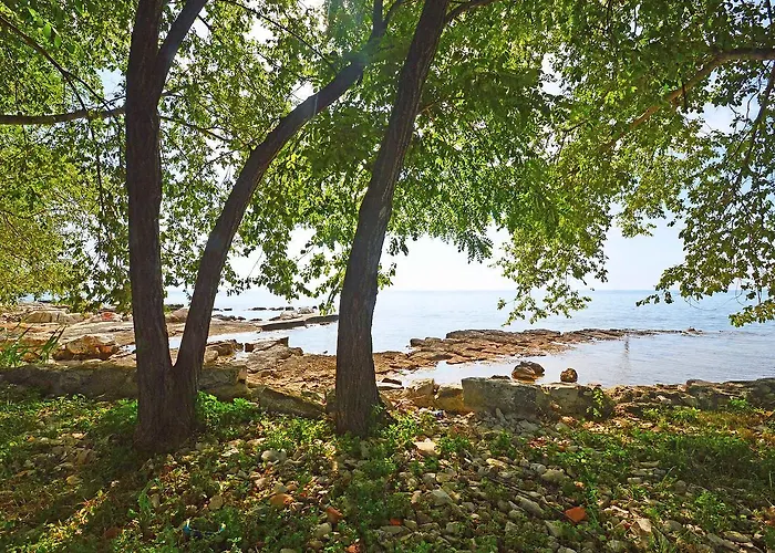 Aron By Interhome * Umag